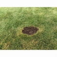 thumbnail image 5 of Rapid Repair Pods 12-Pack 7 In./Pod Grass Patch & Repair 300017, 5 of 8