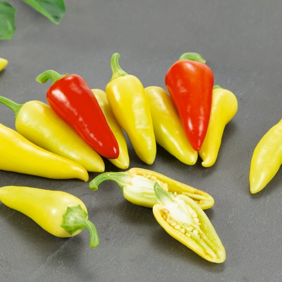 Dancing Spirits F1 Hybrid Hot Pepper Seeds - 300 Mg Packet ~40 Seeds - Non-GMO, F1 Hybrid - Vegetable Garden - Capsicum annuum