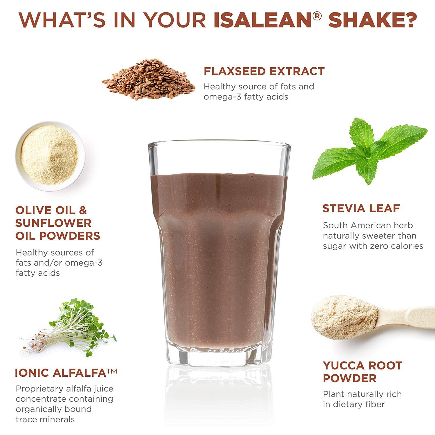 Isagenix IsaLean Shake - Meal Replacement Protein Shake Supports Healthy  Weight & Muscle Growth - Protein Powder Enriched with 23 Vitamins - Creamy  Dutch Chocolate, 30.1 Oz (14 Servings) : Health & Household 