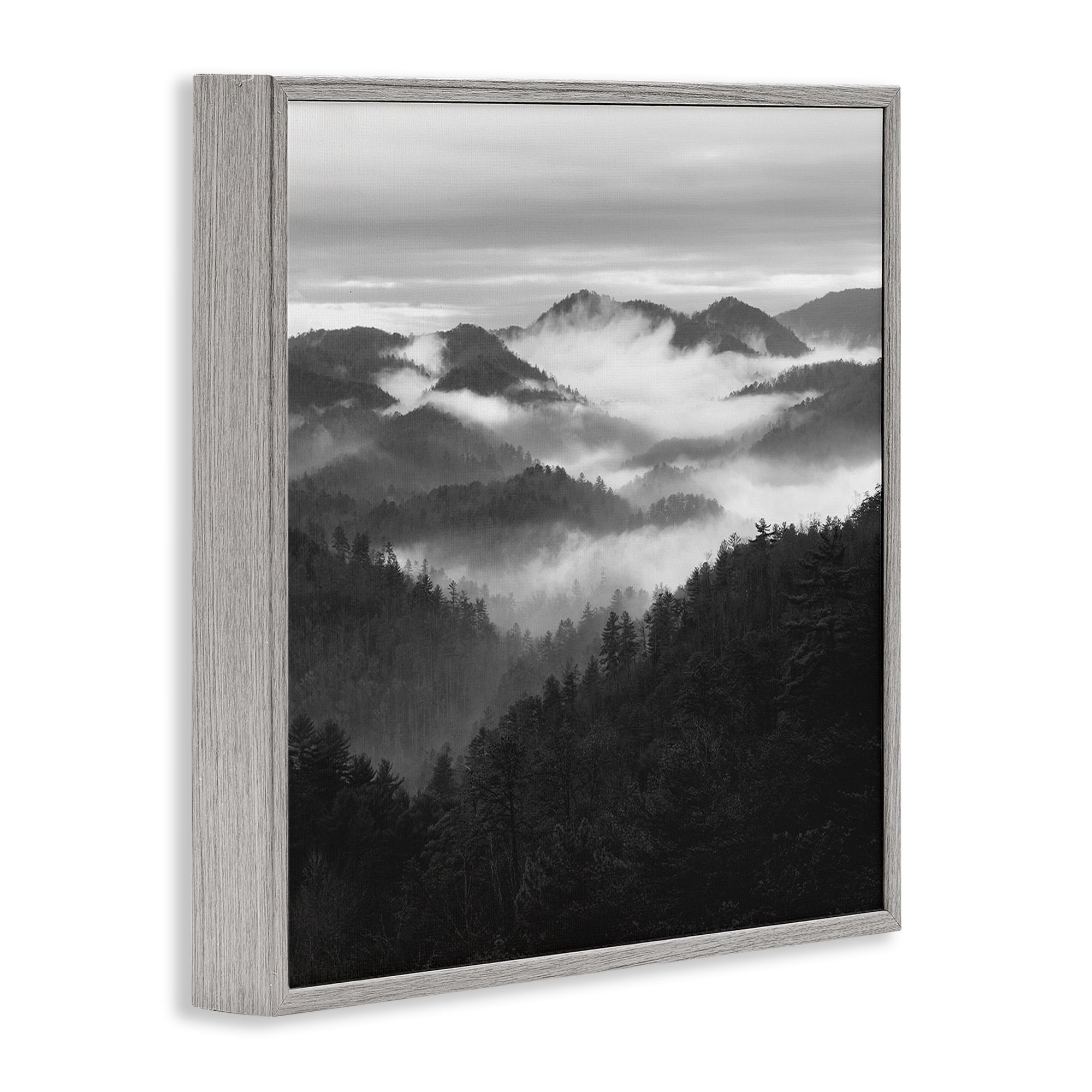 Stupell Industries Smoky Mountains Forest Gray Framed Giclee Art, design by Nicholas Bell