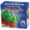 Chia Pet Herb Garden - Decorative Pot Easy to Do Fun to Grow Chia Seeds