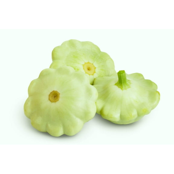 20 Seeds Green Tint BUSH SCALLOP SQUASH (Patty Pan / Paty Pan / Squanter Squash) Summer Cucurbita Pepo Vegetable Seeds