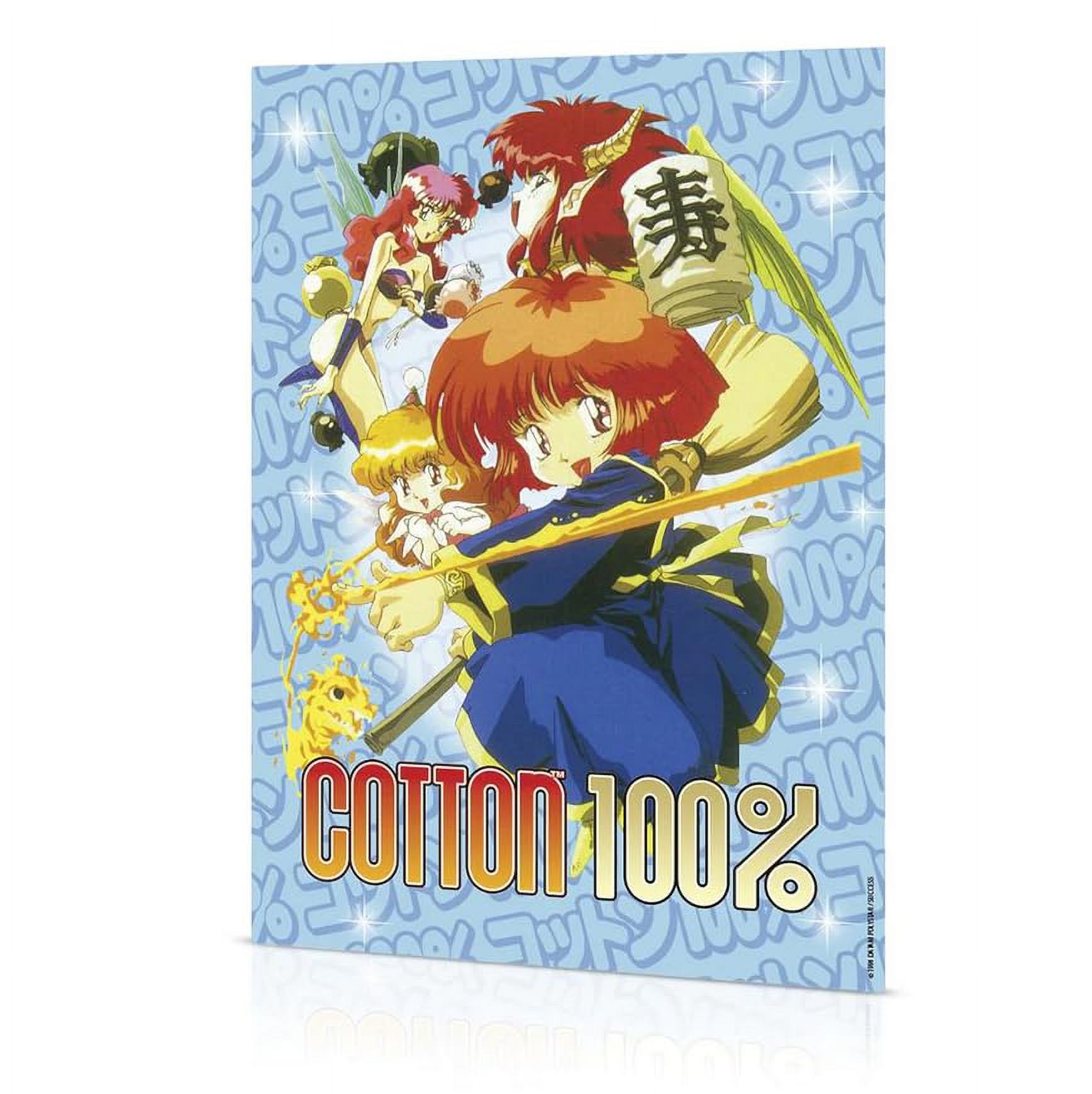 Cotton 100% - Collector's Edition [Nintendo Switch] - Walmart.com