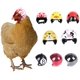 thumbnail image 1 of Casco para Mascotas Casco de Pollo Sombrero para Mascotas Casco de Juguete Casco de Gallina de Pollo Accesorios de Disfraces para Pollo 8 Piezas ER, 1 of 5