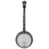 Ibanez B300 5-String Banjo with Rosewood Resonator Natural