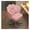 Pink, variant on Vanity Chair with Wheels Velvet Petal Desk Chair Upholstered Tufted Home Office Chair for Women Girls, Height Adjustable Makeup Task Chair for Bedroom Living Room