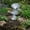 Silver, variant on 3 Tier Metal Bird Bath Bowl, Hummingbird Feeders for Outdoors, Bird Birdbaths Feeder Stand, Rain Catcher Bird Bath for Outside Yard Patio Decor