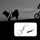 thumbnail image 5 of Correa de nailon reflectante para perros con correa ajustable para paseos nocturnos seguros, ajuste al pecho y la espalda, talla L, 5 of 8