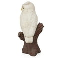 thumbnail image 4 of Alpine Corporation White Owl on Tree Trunk Statuary, 4 of 14