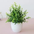 thumbnail image 4 of Faux Potted Plants Artificial Greenery,Realistic Mini Fake Plants with Flowers for Home Office Desk Decor,Small Indoor Tabletop Decorations for Bathroom,Farmhouse,Shelf Centerpiece, 4 of 5