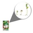thumbnail image 2 of Semillas Acelga Vita, 2 of 5
