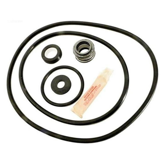 Sta-Rite Dyna-Glas Pump Repair Kit