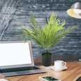 thumbnail image 4 of Plantas Verdes Luz Nocturna, Decoración de Luz Nocturna de Plantas USB Para Oficina Interior, 4 of 7