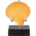 thumbnail image 1 of BTSKY Support d'Affichage Réglable en Métal avec Base Carrée en Bois, Chevalet d'Affichage de Roche Support d'Affichage de Géode pour Pierres Précieuses Fossiles Cristal Coquillage Minéraux Agate, 2 x 2 x 3.1 Pieds', 1 of 8