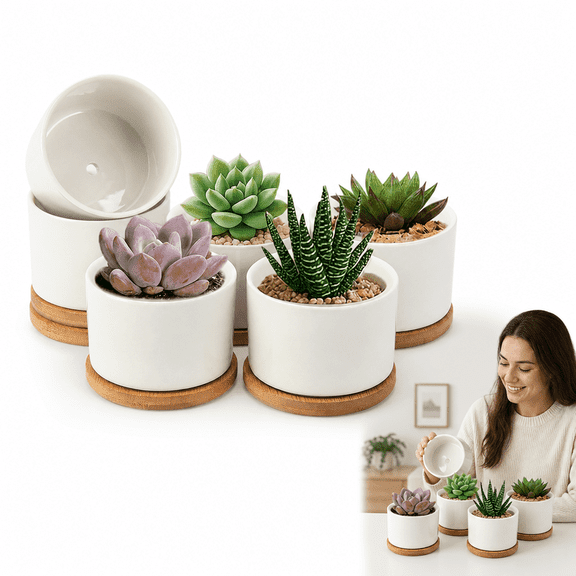 6 Pack White Ceramic Succulent Pots with Drainage Hole and Bamboo Tray, Mini Plant Pots Small Succulent Pots, Small Ceramic Pots for Plants, Succulent Planters for Indoor Home Office Desk Decor