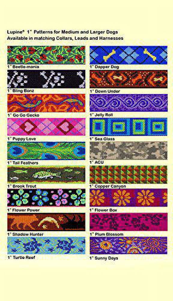 LupinePet Originals 1" Shadow Hunter 15-22" Martingale Collar for Medium and Larger Dogs