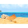 thumbnail image 1 of Taladro diamante pintura (DE0280) 5D DIY playa completa concha punto de cruz bordado Kits 45x60cm Hugtrwg Para estrenar, 1 of 1