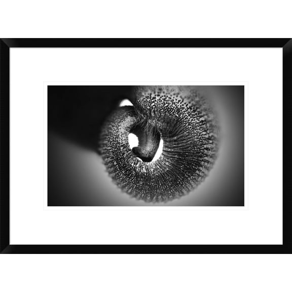 Global Gallery Antje Wenner-Braun 'Trunk' Framed Wall Art
