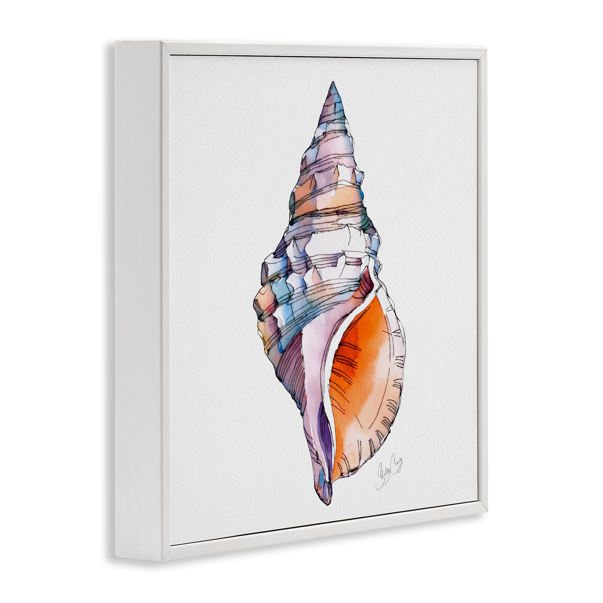 Stupell Industries Sunrise Conch Shell White Framed Giclee Art, design by Shelly Craig