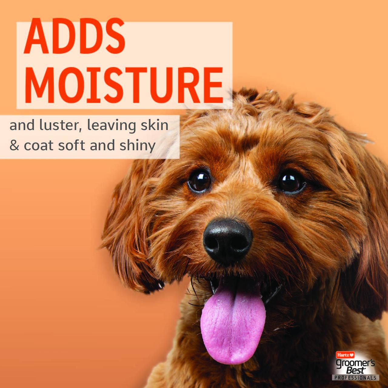 Hartz Groomer's Best Hydrate & Shine Dog Shampoo photo 3