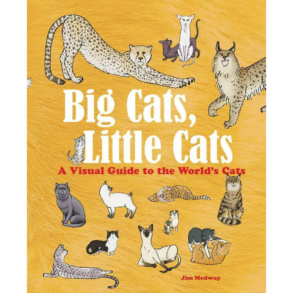 Big Cats, Little Cats A Visual Guide to the World's Cats Walmart