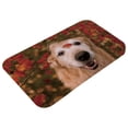 thumbnail image 2 of BJUTIR Door Mat Fun Door Dog Mat Welcome Entrance Anti Indoor Rubber Door Mat For Front Door/Bathroom/Garden/Kitchen, 2 of 5