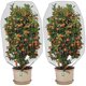 thumbnail image 1 of Paquete de 2 redes protectoras para plantas de jardín de 3x30 pies - Red para árboles frutales con cordón - Cubierta protectora para plantas de tomate para proteger plantas de cítricos, frutas y flores de insectos y pájaros. Sincero Electrónica, 1 of 5