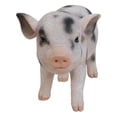 thumbnail image 2 of Figura Hi-Line Gift Ltd Baby Cerdo, color marrón oscuro, 13 cm, 2 of 9