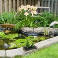 thumbnail image 4 of Simulation Resin Frogs Creative Garden Decor Floating Frogs Shaped Adornment, 4 of 6