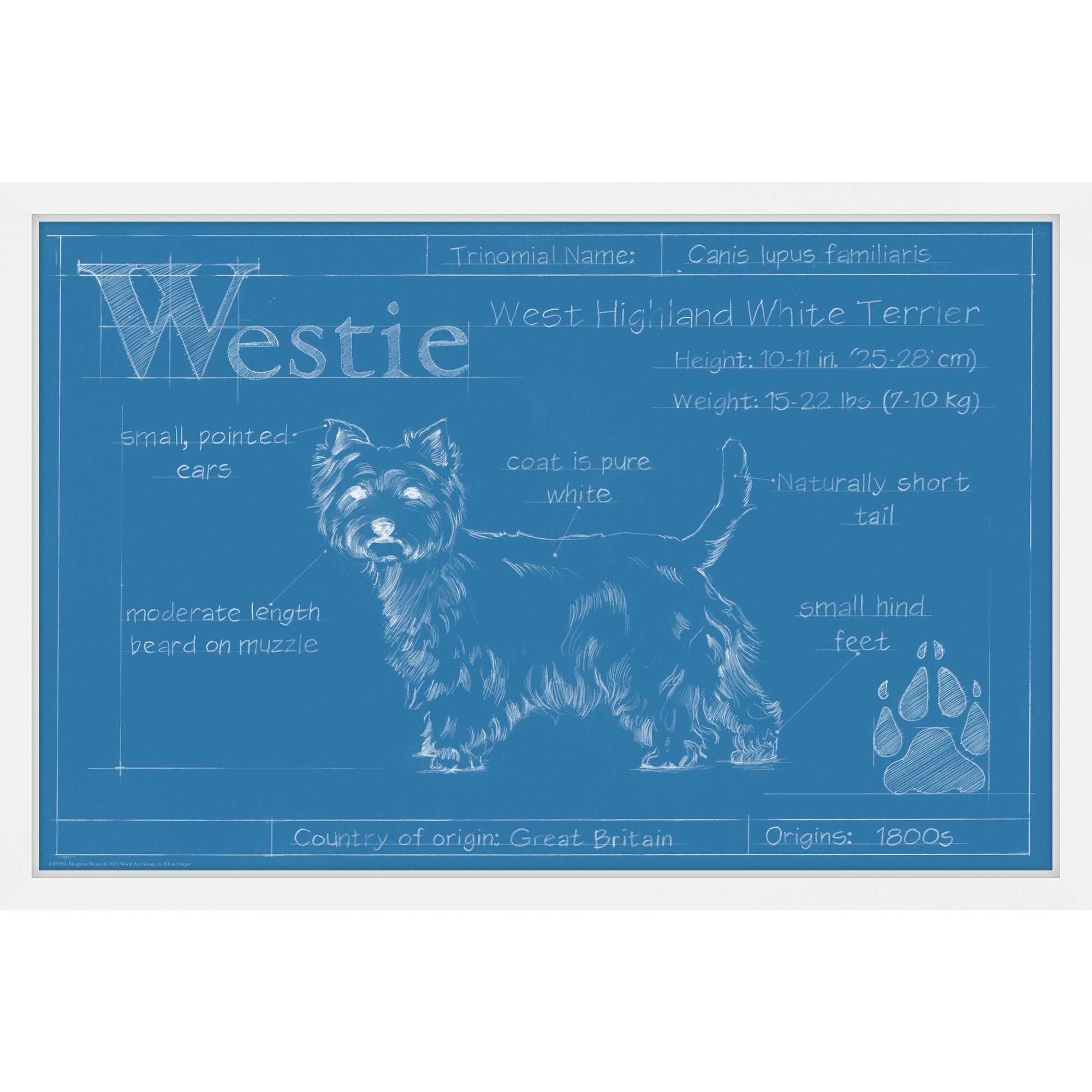 "Westie" Framed Painting Print