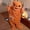Orange, variant on Halloween Pumpkin Onesie Adults | Soft Cozy Plush Hooded Pajamas, Oversized Pajamas for Parties Pumpkin Onesie Adult Halloween Funny Hooded Jumpsuit Pajamas Loungewear, Orange Adults - L
