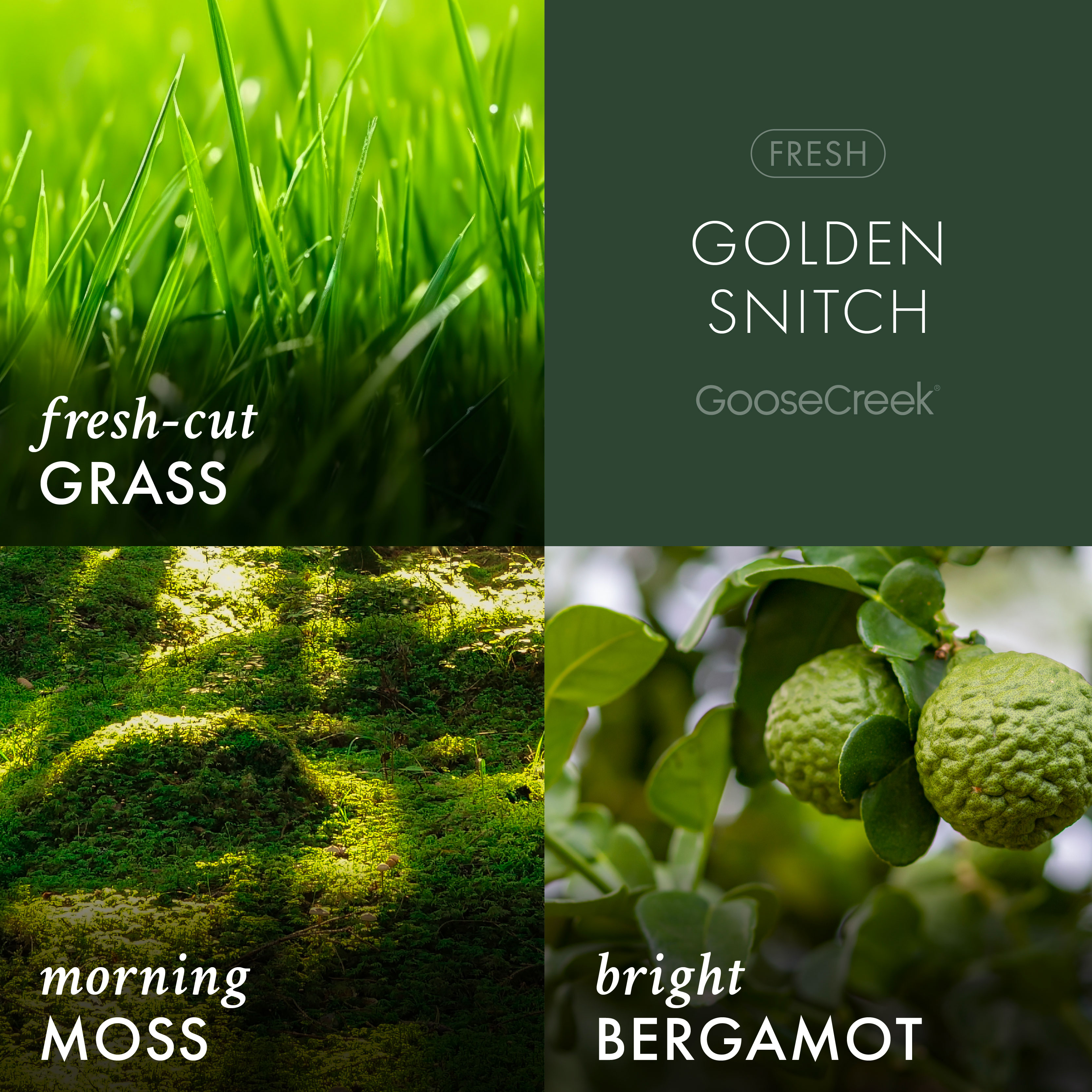 Goose Creek Harry Potter Golden Snitch 3-wick Crackling Fresh-Cut Grass, Morning Moss, Damp Earth & Bright Bergamot Scented Jar Candle, 14.5oz