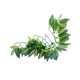 thumbnail image 4 of unbranded 1Ud Planta Artificial Para De Peces Rattan Natural Y Para Acuarios, 4 of 8