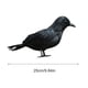 thumbnail image 2 of Cuervo realista hecho a mano Cuervo emplumado negro para decoraciones de Halloween Pájaros Wmkox8yii  fhajkh2652, 2 of 2