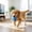 Blue, variant on YingYouFu Interactive Dog Toys , Dog Balls for Indoor Dogs Cats,2026 Smart Durable Motion Activated Automatic Rolling Ball Toys for/Small/Medium Dogs