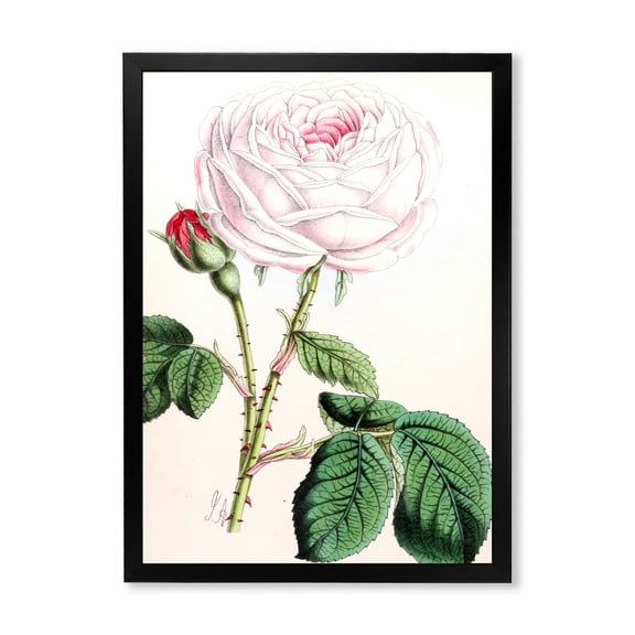 Designart 'Ancient Pink Flower' Traditional Framed Art Print