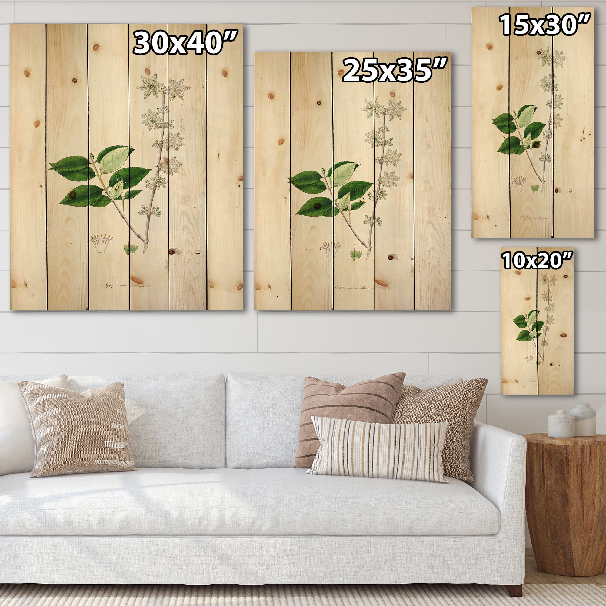 Designart 'Ancient Botanicals XV' Farmhouse Print on Natural Pine Wood