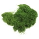 thumbnail image 5 of 1 bolsa de musgo Artificial, manualidades DIY, musgo falso, planta en maceta, musgo falso, macetero de interior, musgo falso, 5 of 5