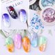 thumbnail image 5 of Kit de pegatinas holográficas para uñas Lentejuelas iridiscentes para uñas Sirena Namotu HMHZ017, 5 of 7