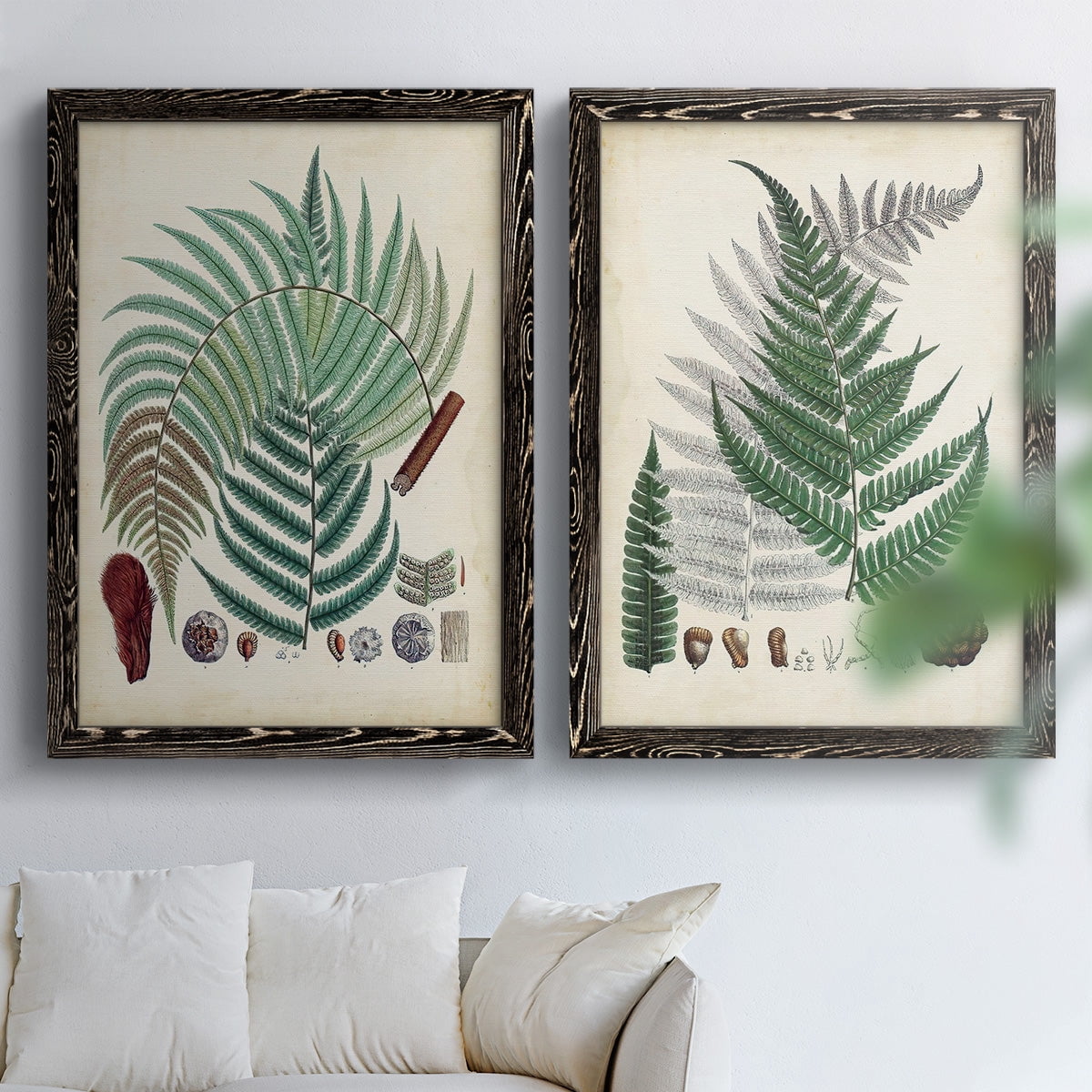 Collected Ferns I - Premium Framed Canvas 2 Piece Set - Ready to Hang