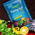 thumbnail image 4 of Schultz® Potting Soil Plus 18L, 4 of 4