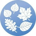 thumbnail image 4 of WindowAlert Leaf Medley Anti-Collision Decal - UV-Reflective Window Decal to Protect Wild Birds from Glass Collisions 2-Pack - Made in The USA, 4 of 6