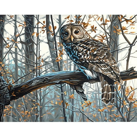 Paint By Number Kit, 14