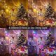 thumbnail image 3 of Christmas Decoration Fairy Lights, 30M 300 LED Outdoor Christmas Tree Fairy Lights Power Warm White and Colorful Dimmable 11 Modes with Remote Control, 3 of 4