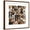 Brown Frame, variant on Art.com Collage Of 36 Dog Heads Art Print by Life on White, 24" x 24"