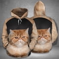 thumbnail image 5 of Nueva llegada, sudaderas con capucha con bonitos gatos para hombre y mujer, sudaderas con capucha de otoño 2024, ropa deportiva informal de manga larga para uso diario y fitness, 5 of 5