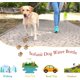 thumbnail image 2 of Botella de agua para perros de 15 oz para caminar, portátil para mascotas, para viajes, agua, bebida, taza, plato, cuenco, dispensador, hecho de material de grado alimenticio a prueba de fug, 2 of 5