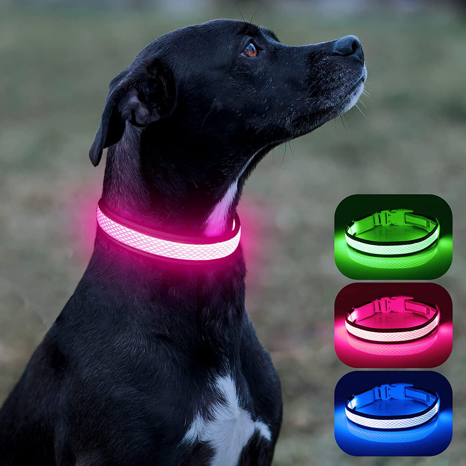 PET LED LIGHT-UP Glow-in-the-dark USB RECHARGEABLE COLLAR Dog Night Safety Flash 