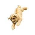 thumbnail image 2 of Juguete de Peluche León 39cm Sunnimix Juguetes de animales de peluche, 2 of 8