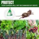 thumbnail image 4 of 1-5packs Rodent Repellent Peppermint Oil to Repels Mice and Rats and Other Rodents, Mouse Repellent for Home Farm, 4 of 5